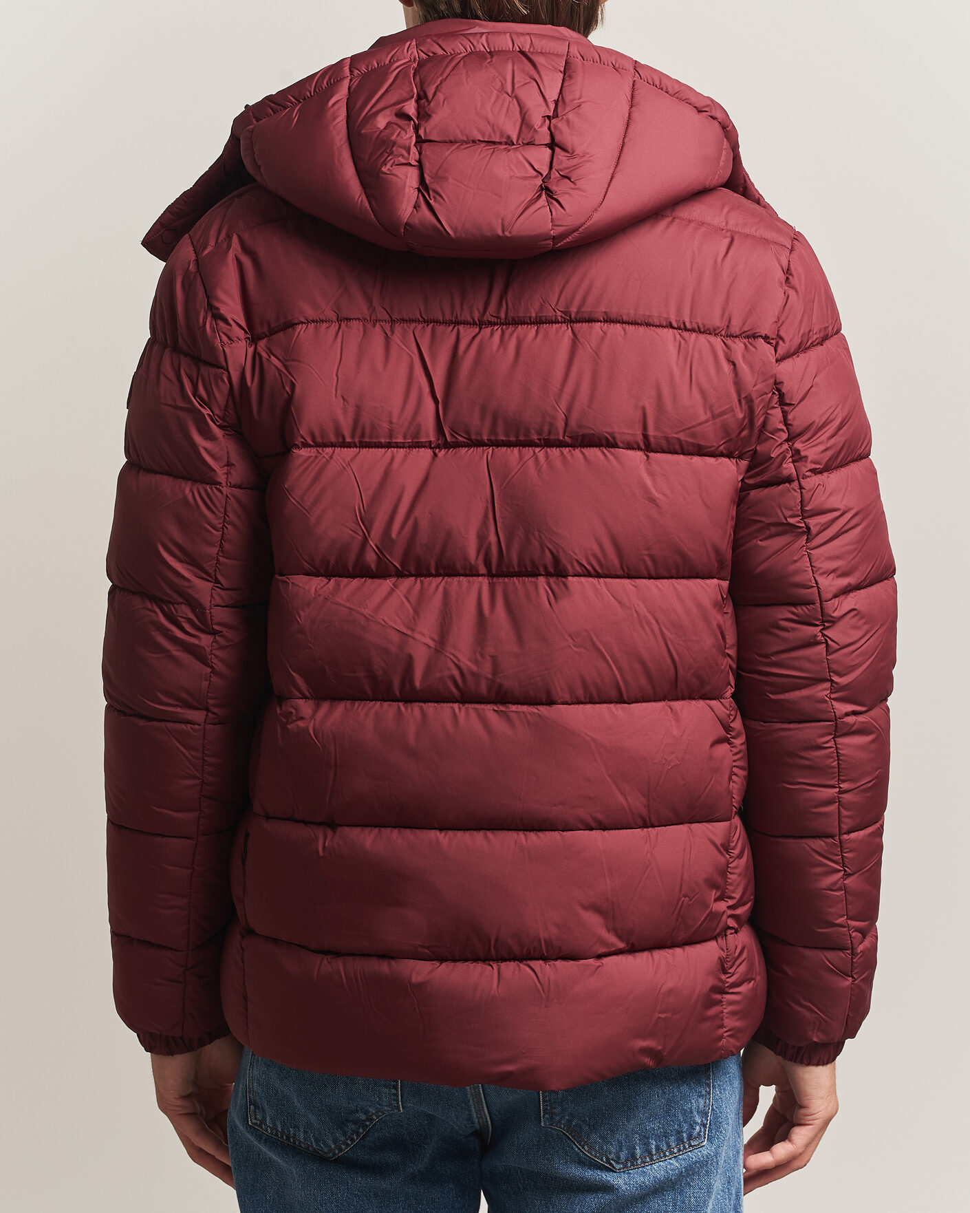 Heren | Jassen | Save The Duck | Boris Matt Padded Puffer Wine Red