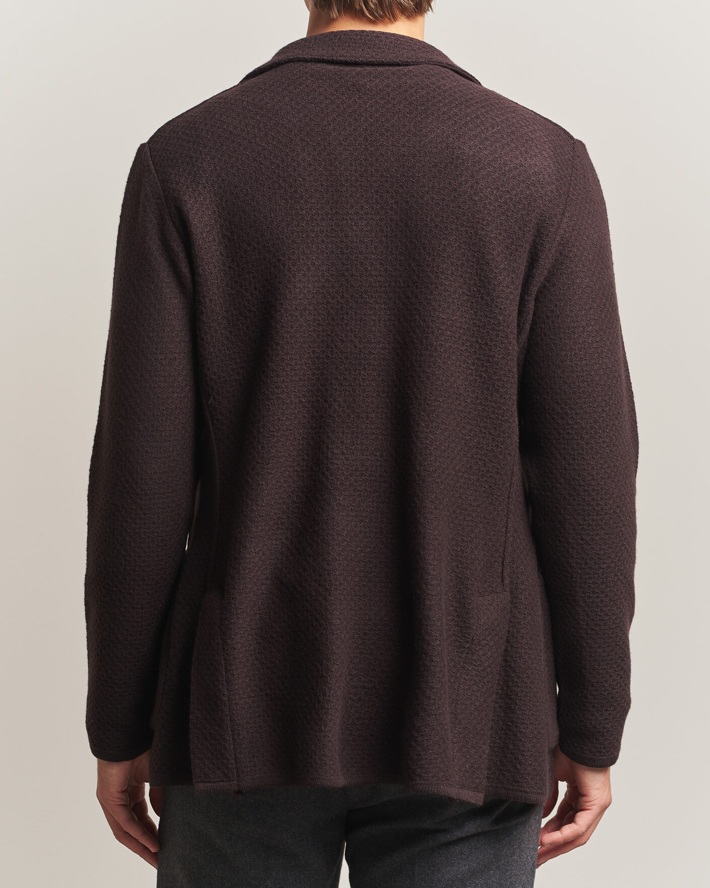 Heren | Blazers | Lardini | Knitted Structure Wool/Cashmere Blazer Brown