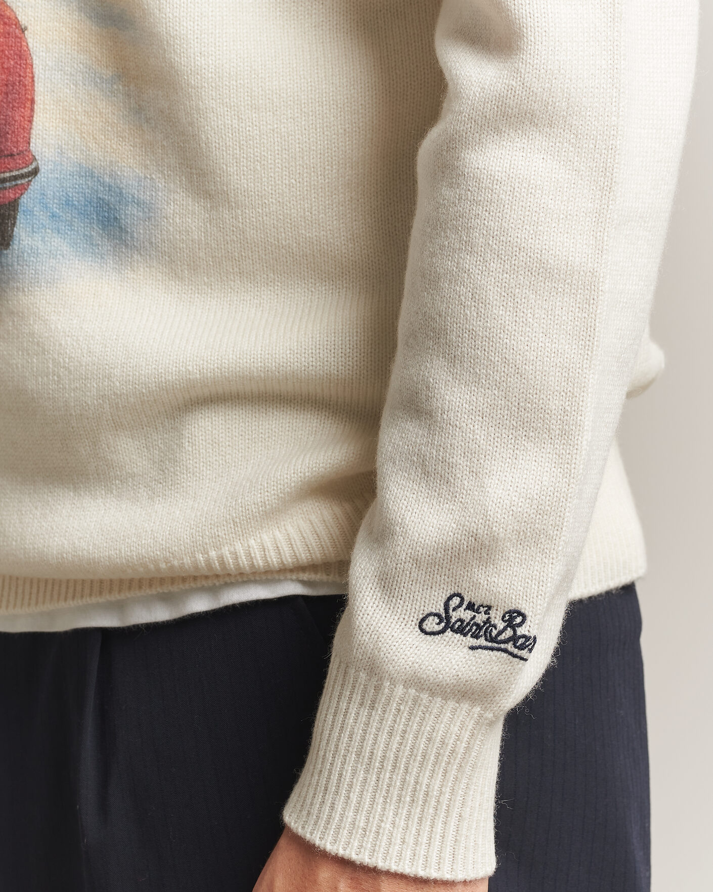 Heren | Truien | MC2 Saint Barth | Heron Printed Sweater Cortina